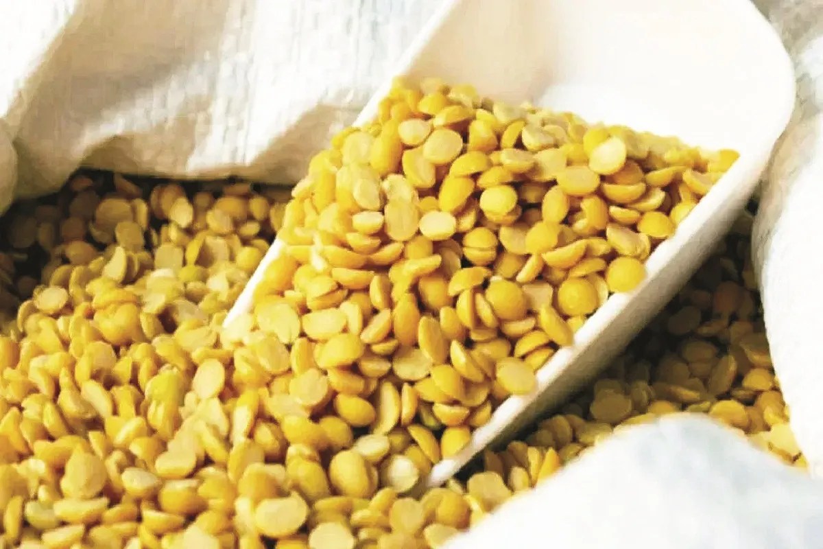 केंद्र सरकार ने 425 करोड़ रुपए किए मंजूर (photo source- Patrika)