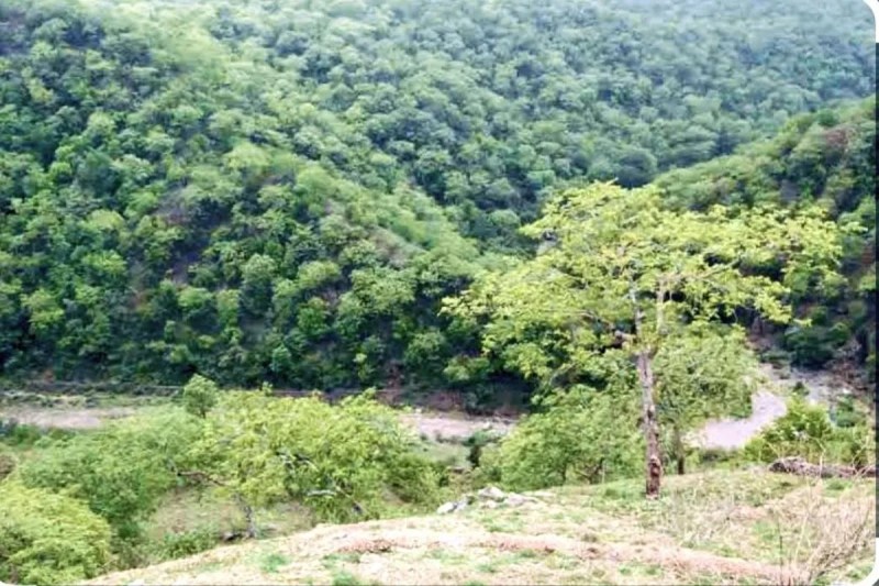 bedach ka naka Project