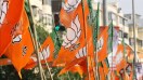 BJP Flags