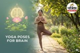 Yoga for exam stress and focus, Yoga poses to calm mind and improve memory, Morning yoga for focus and alertness,