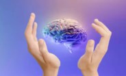 Brain