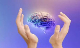 Brain