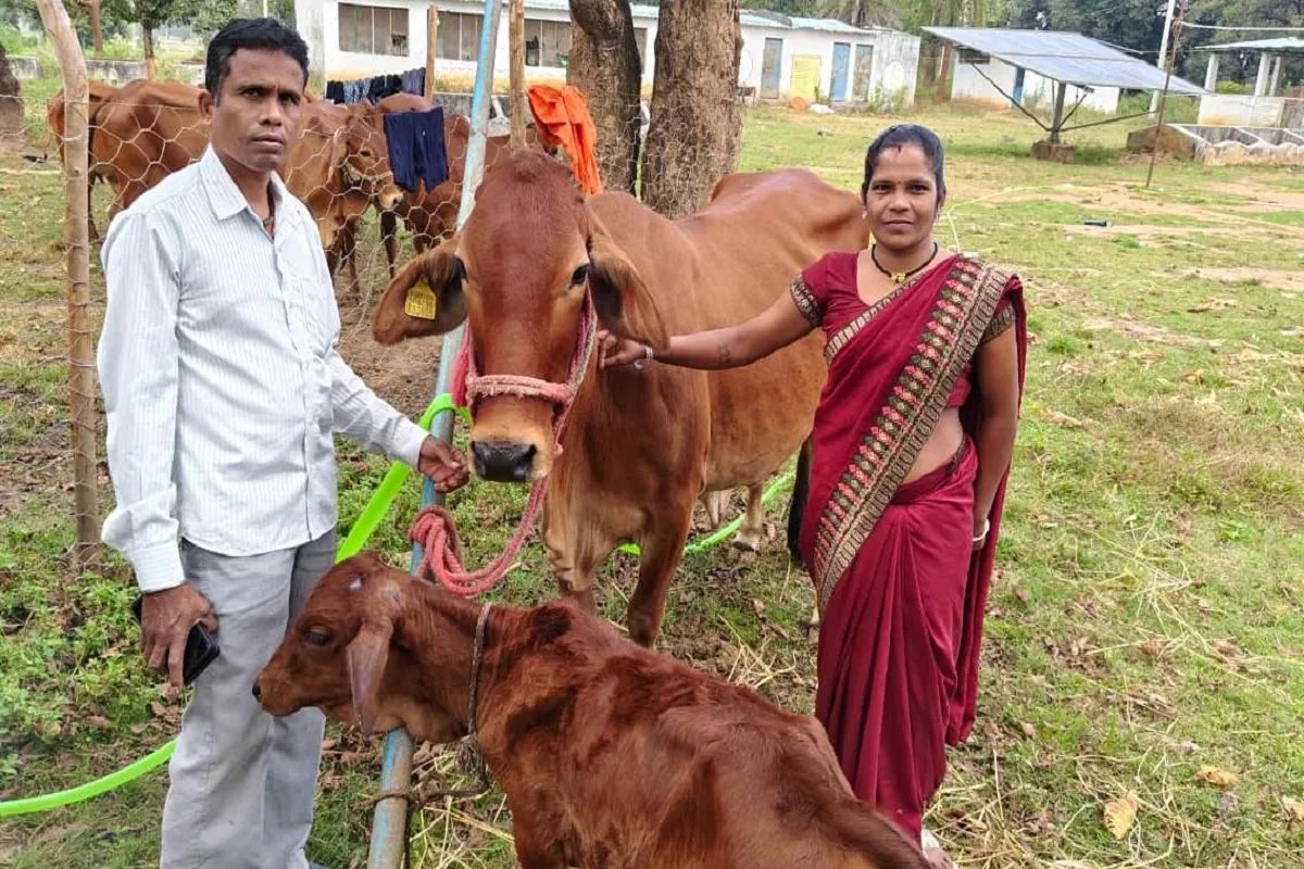 CG News: दूध के दम पर आत्मनिर्भरता की कहानी, आगे बढ़ रहीं महिलाएं, हर साल हो रही लाखों की आमदनी