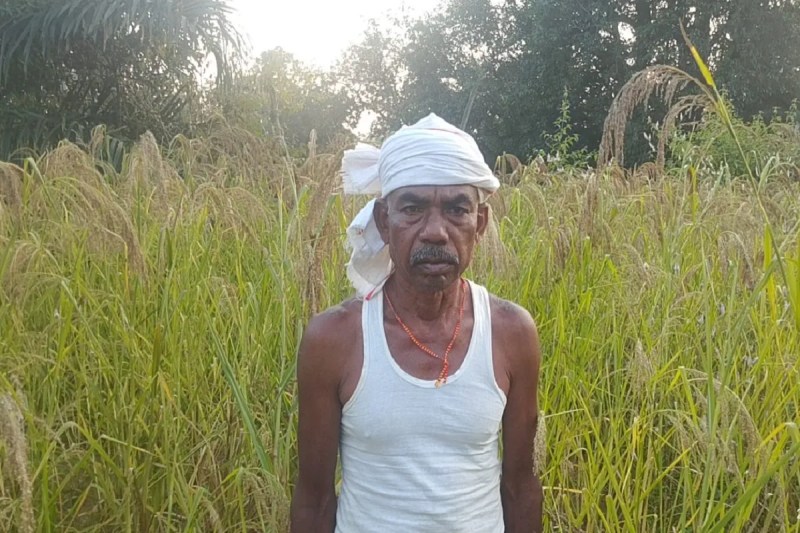 CG Farming: छत्तीसगढ़ में खेती की नई तकनीक, खेतों में डाल दी जान, 20 से अधिक किसानों ने अपनाई यह विधि