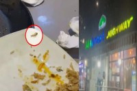 Raipur Breaking: मद्रासी हाईवे रेस्टोरेंट में बड़ी लापरवाही, बिरयानी में निकला कॉकरोच, जमकर हुई बहस