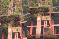 CG News: छत्तीसगढ़ के युवाओं को ये कैसा सौख, रील बनांने पानी टंकी के ऊपर चढ़े दो युवक, फिर हुआ हुआ खौफनाक हादसा