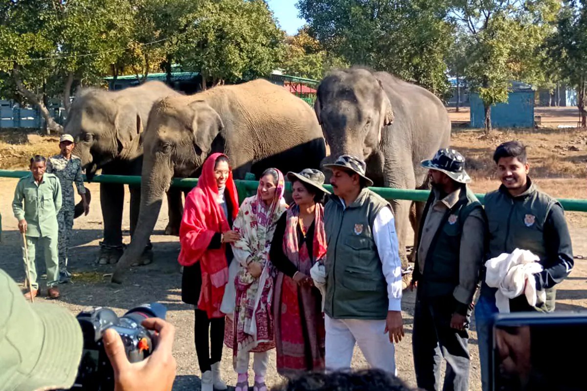 Panna Tiger Reserve