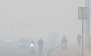 Cold wave and dense fog warning issued by IMD