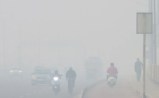 Cold wave and dense fog warning issued by IMD