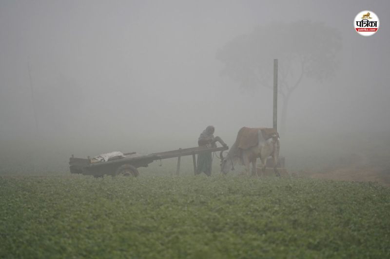 Weather Update Western Disturbance change weather northern Rajasthan season first winter rain cold will intensify in state