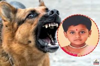 Nisha Shinde dog bite Rabies death in diva