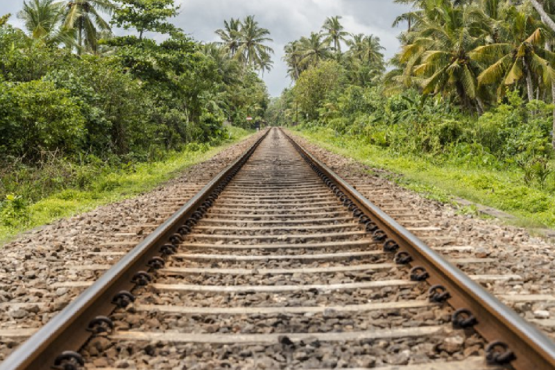 Jabalpur-Indore railway line construction land acquisition farmer family euthanasia mp news