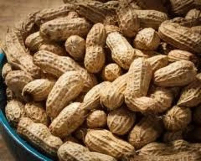 सीमित मात्रा में पहुंच रही मूंगफली