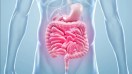 Gut health
