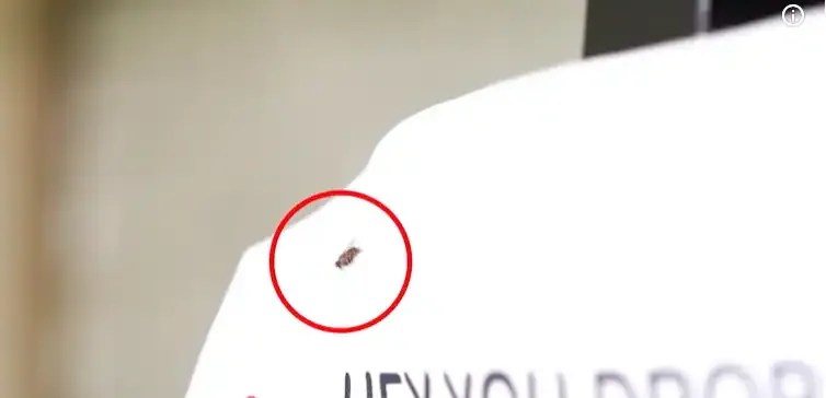 Farah Khan Is Stunned By Adah Sharma mumbai house