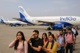 Indigo News