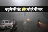 Severe Cold And Dense Fog