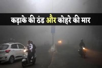 Severe Cold And Dense Fog
