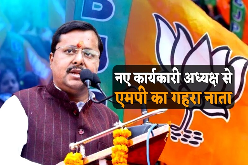 BJP National Working President