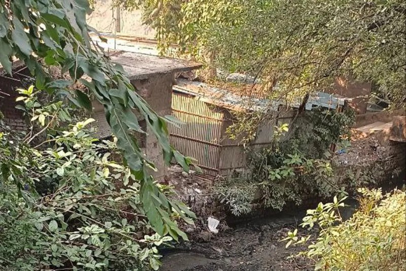 Narmada River pollution