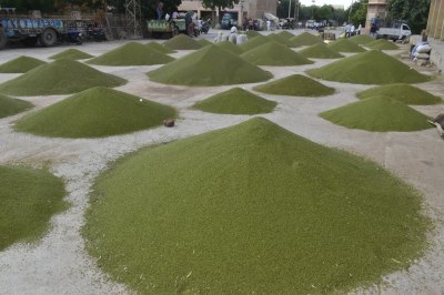 Short video poster image