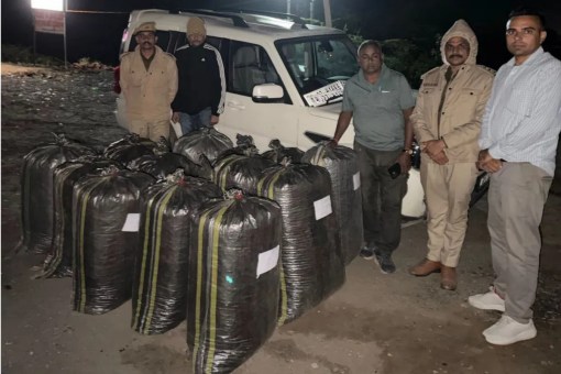 बरामद अवैध डोडा पोस्त। फोटो- पत्रिका