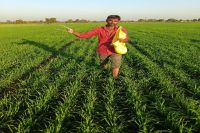 Soil Health Card News Ratlam