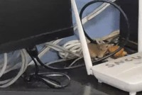 Rats creating a ruckus with pakoras at Satna District Hospital