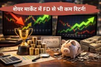 Share Market Return in 2025