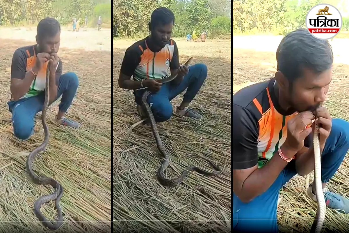 snake rescue
