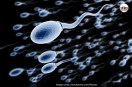 Sperm Race 2026, Sperm Race Texas, Sperm Race January 30 2026,