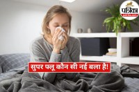 UK Flu Variant India Risk