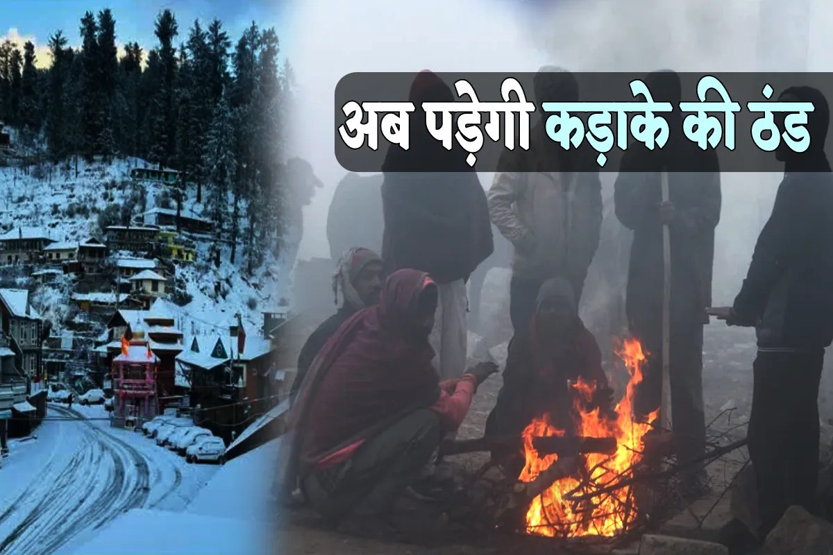 Severe Cold Alert