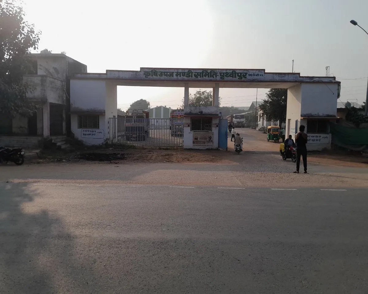 पांच साल पहले निवाड़ी बन गया था अदरक के लिए एक जिला एक उत्पाद, नहीं लगती है मंडी