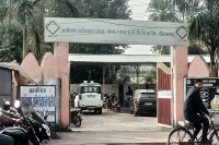 डेढ़ महीने में 11 केवी लाइन से कई हादसे