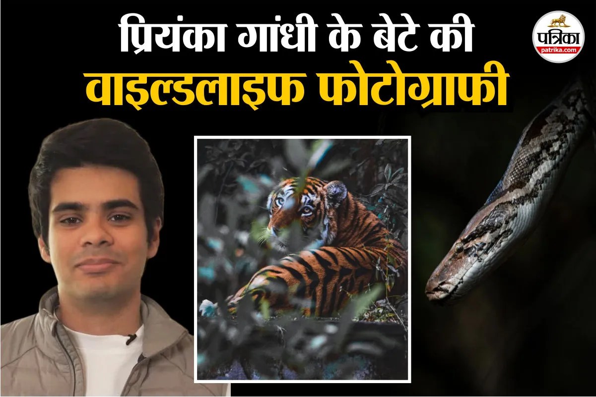 Priyanka Gandhi Son News, Raihan Vadra Latest News,