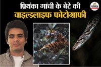 Priyanka Gandhi Son News, Raihan Vadra Latest News,