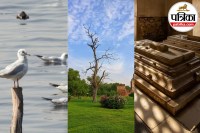 Christmas Delhi NCR travel, Delhi NCR winter destinations,