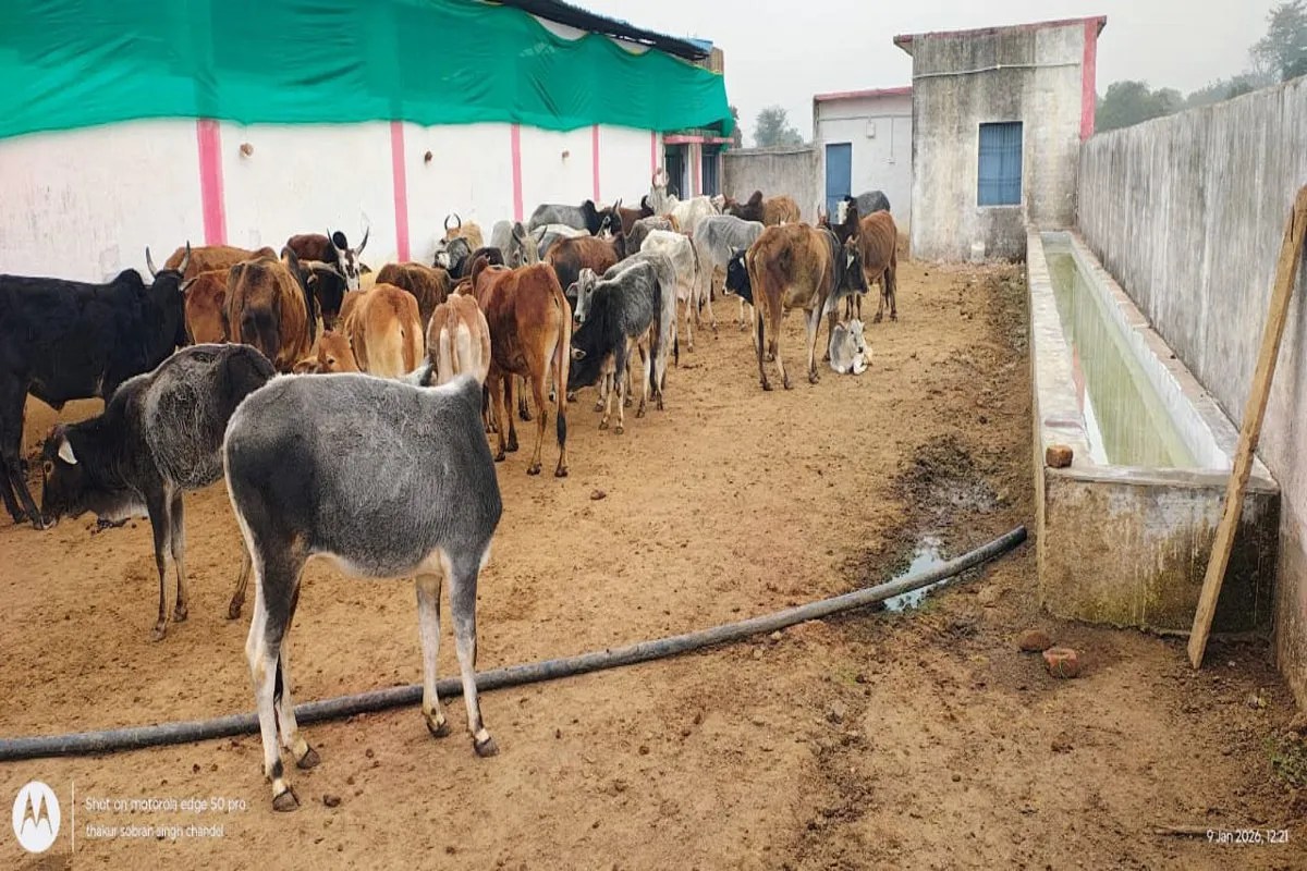 लाखों का बजट और जिम्मेदारों की लापरवाही हो र ही उजागर