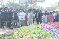 Flower show Ahmedabad