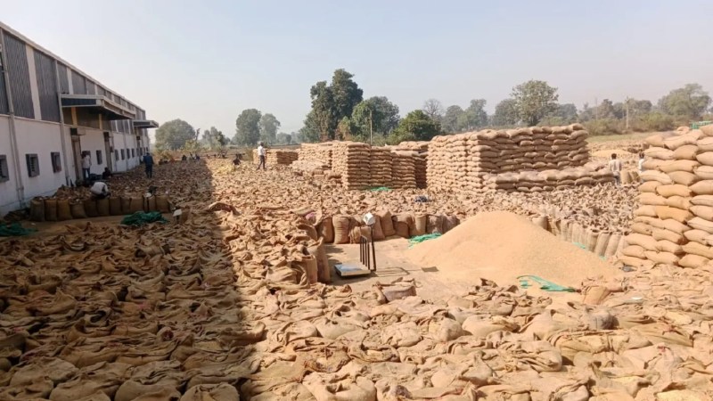 बंपर खरीद चलने से करीब 14 केंद्रों पर लाखों क्विंटल धान खुले आसमान के नीचे पड़ी है।