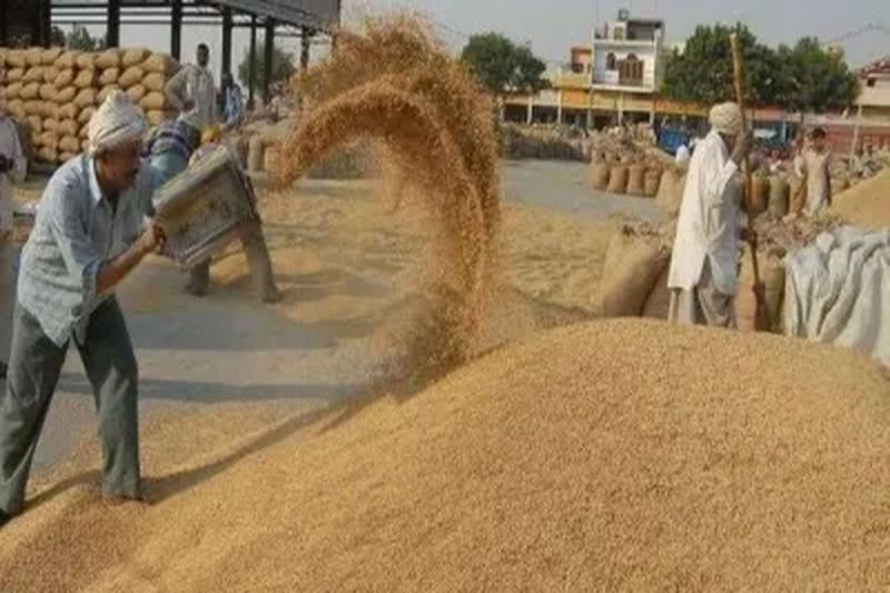 Wheat procurement: Farmers will now get Rs 2525 per quintal, registration starts from April 1st.