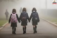 Cold Wave Hits Rajasthan Schools Closed Up to Class 8