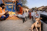 Rajasthan Stray Dog Funeral