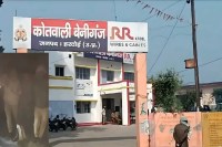 ईनामी बदमाशों पर कहर, बेनीगंज में मुठभेड़ के बाद अपराधियों के हौसले पस्त (Source: Police Media Cell)