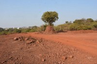 मोतीझील पहाड़ी पर पिछले पांच साल से मुरम की चोरी हो रही है। यहां तीन साल पहले भी चोरी पकड़ी गई थी। एक करोड़ के ऊपर जुर्माना भी लगाया, लेकिन जुर्माने के बाद फिर से खनन शुरू कर दिया। तीन साल में बड़ी मात्रा में मुरम निकाल ली।