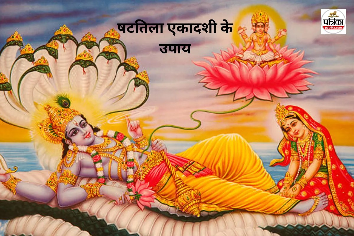 Shattila Ekadashi 2026 Upay