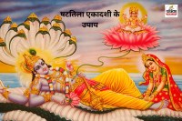 Shattila Ekadashi 2026 Upay