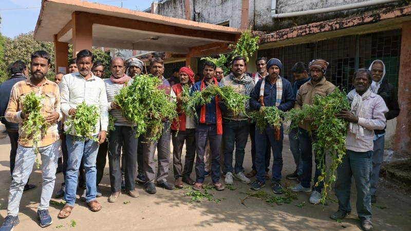 Farmers reached the tehsil with crops damaged by hail and rain, protested and demanded compensation.