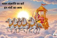 Makar Sankranti 2026